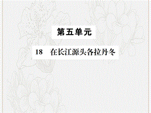 八年级语文下册第五单元18在长江源头各拉丹冬课件新人教版.ppt