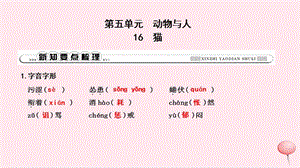 2019年秋七年级语文上册第五单元16猫习题课件新人教版2.ppt