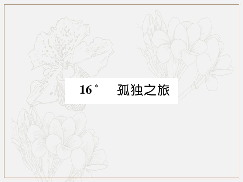 2019秋九年级语文上册第四单元16孤独之旅习题课件新人教版.ppt_第1页