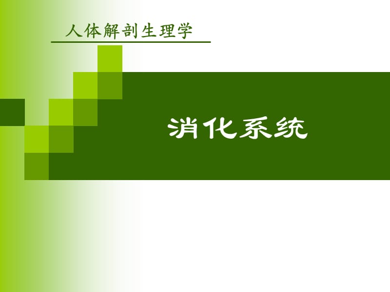 消化系统.ppt_第1页