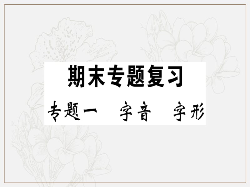 贵州专版2019春八年级语文下册专题复习一字音字形习题课件新人教版.ppt_第1页