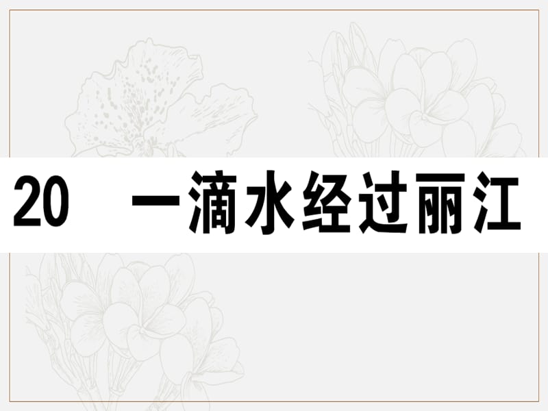 江西专版2019春八年级语文下册第五单元20一滴水经过丽江习题课件新人教版.ppt_第1页