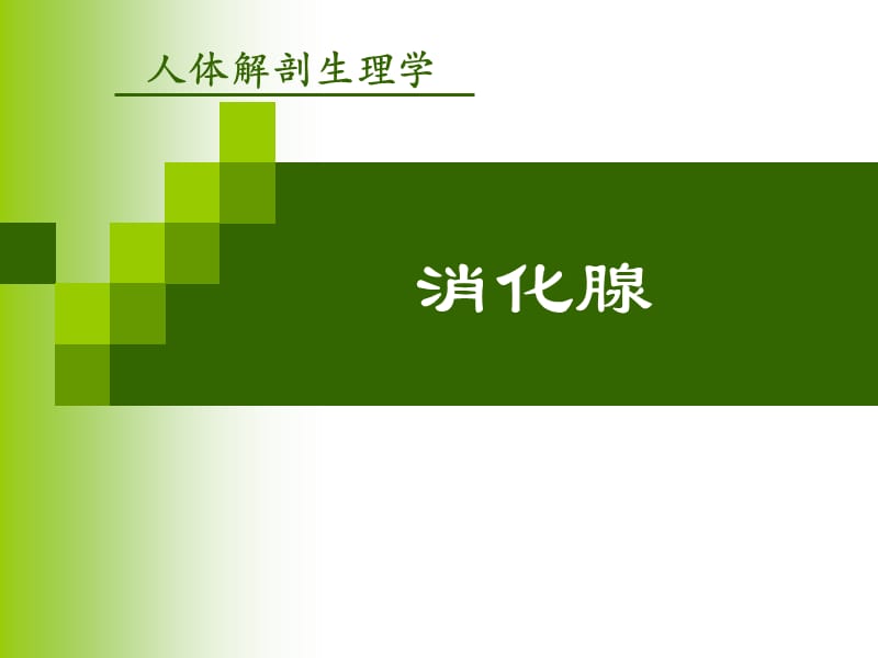 消化腺.ppt_第1页