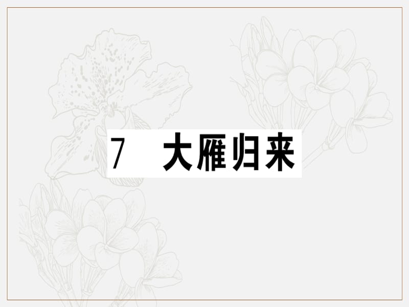 安徽专版2019春八年级语文下册第二单元7大雁归来习题课件新人教版2.ppt_第1页