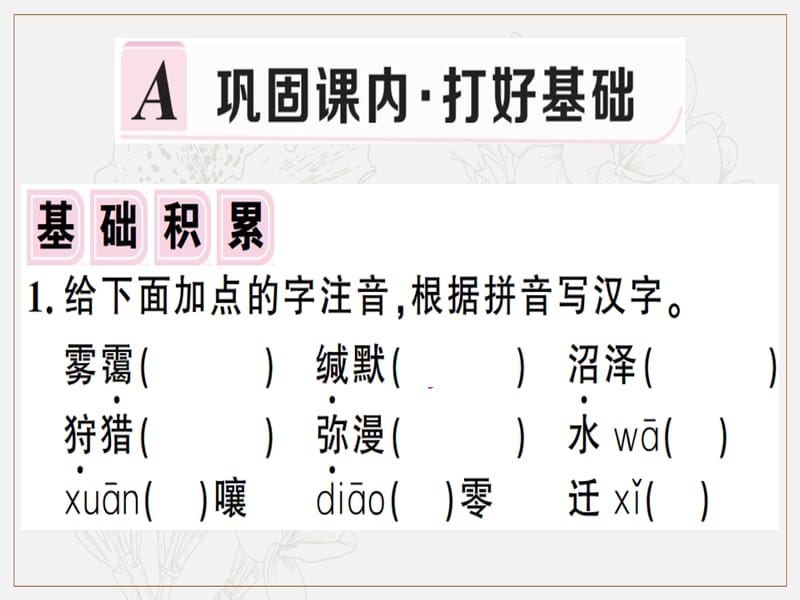 安徽专版2019春八年级语文下册第二单元7大雁归来习题课件新人教版2.ppt_第2页