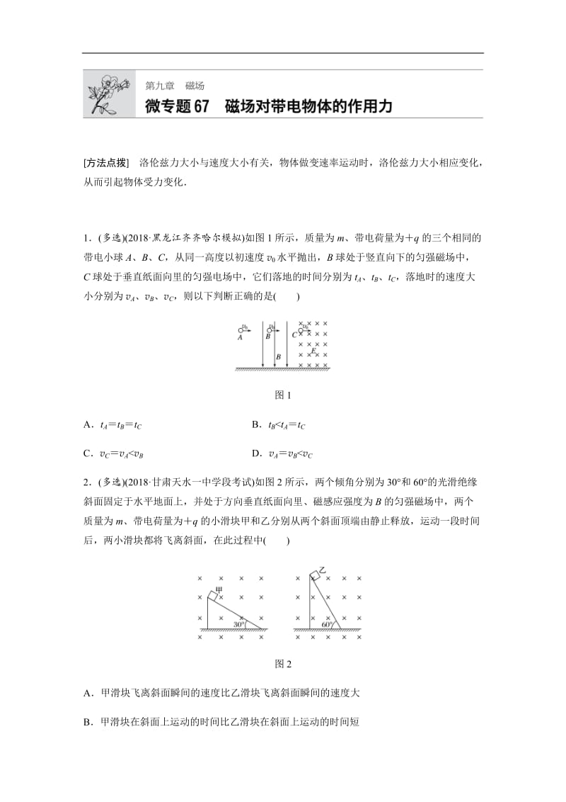 2019高考物理一轮教科版专题加练半小时：第九章磁场 微专题67 含解析.docx_第1页