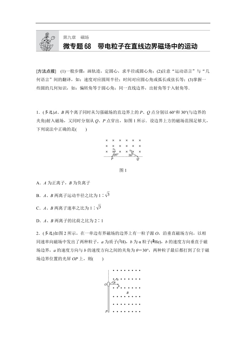 2019高考物理一轮粤教版专题加练半小时：第九章磁场 微专题68 含解析.docx_第1页