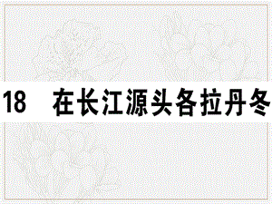 2019春八年级语文下册第五单元18在长江源头各拉丹冬习题课件新人教版.ppt