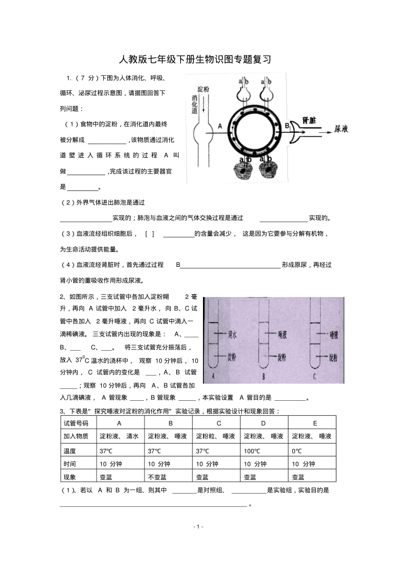 人教版七年级下册生物识图专题复习.pdf_第1页