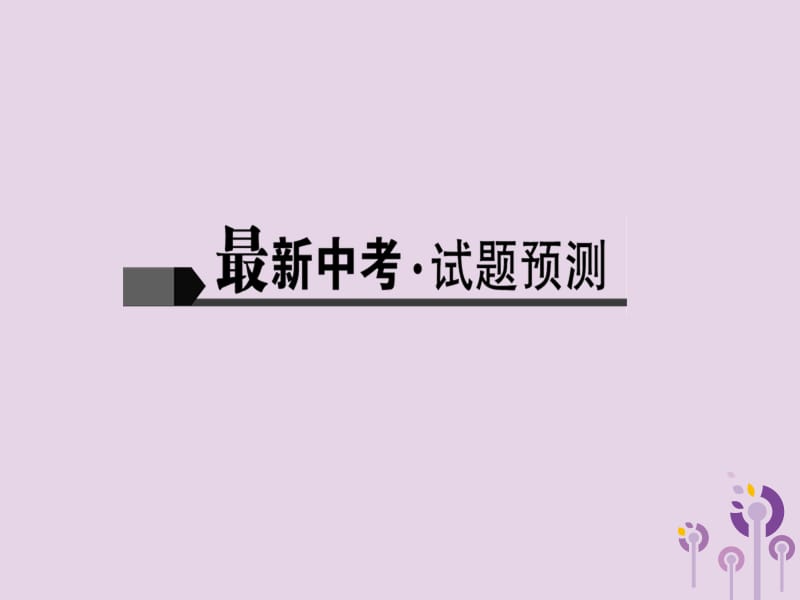 2019届中考语文名师复习第二十三讲文言文阅读一课件2.ppt_第2页