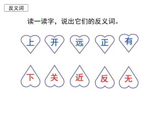 识字7《大小多少》.pdf