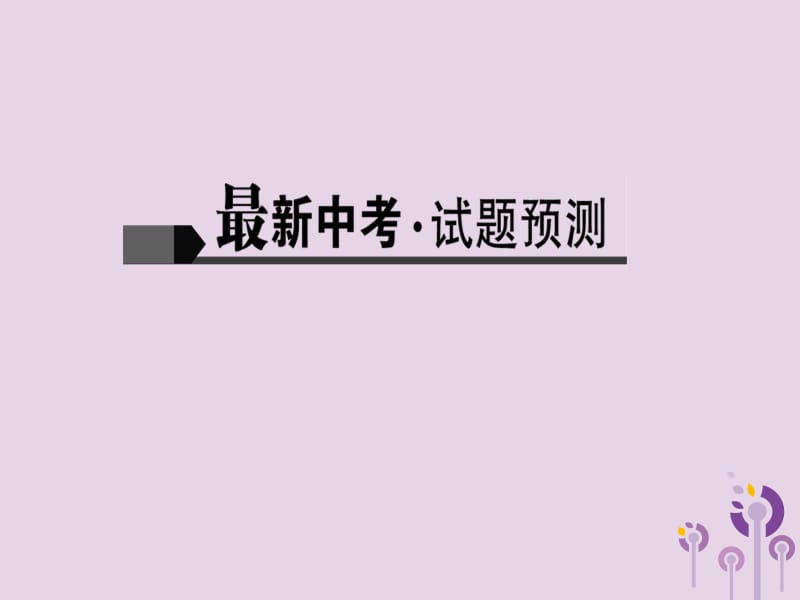 2019届中考语文名师复习第二十讲非连续性文本阅读二课件2.ppt_第2页