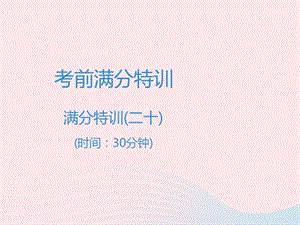 广东专用中考语文高分突破满分特训20课件.PPT