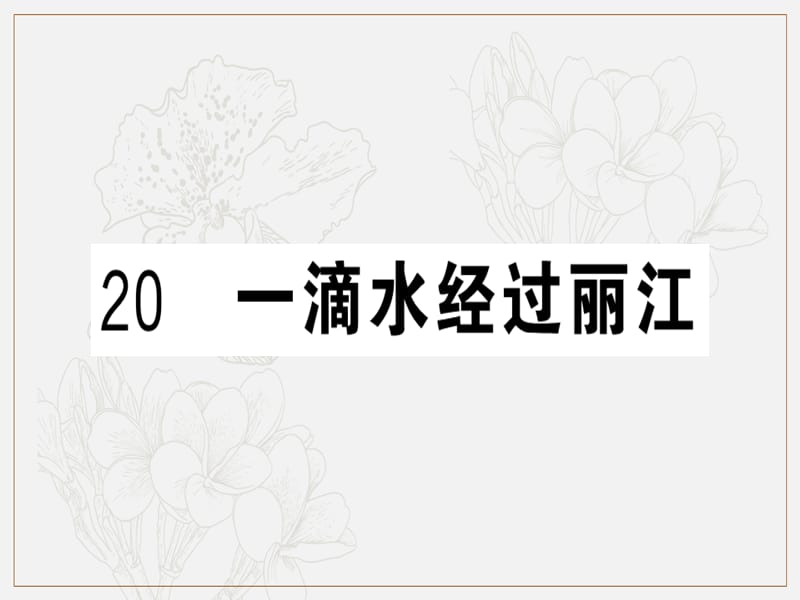 贵州专版2019春八年级语文下册第五单元20一滴水经过丽江习题课件新人教版.ppt_第1页