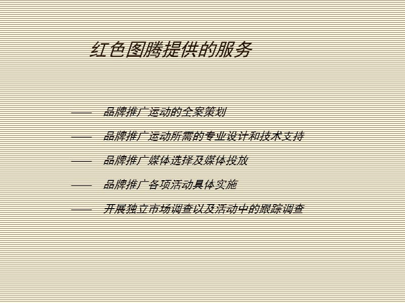 NESO显示器年度广告策略.ppt_第3页