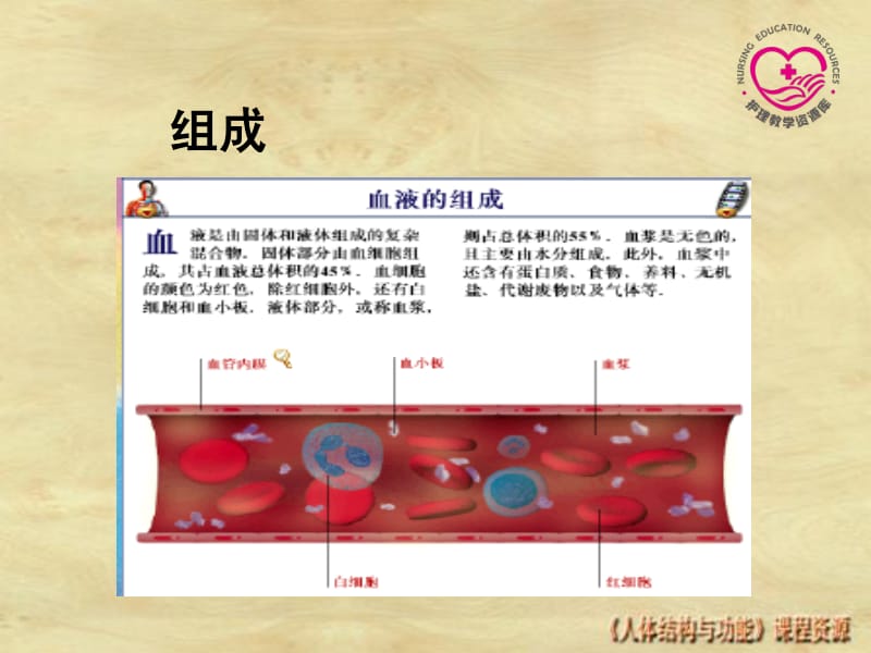 3-电子教案-血液1.pdf_第3页