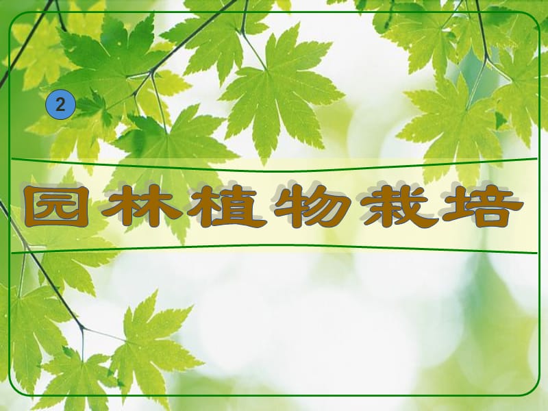 第二章_园林植物与环境.ppt_第1页