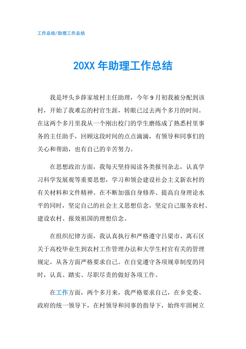 20XX年助理工作总结.doc_第1页