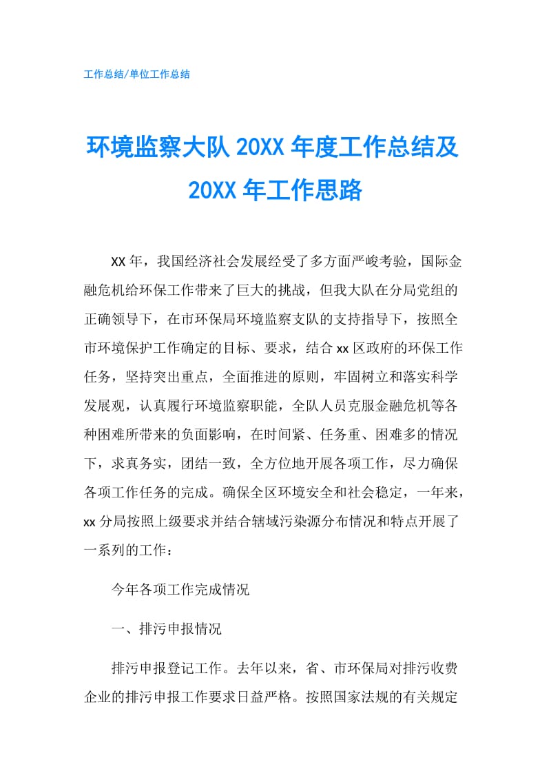 环境监察大队20XX年度工作总结及20XX年工作思路.doc_第1页