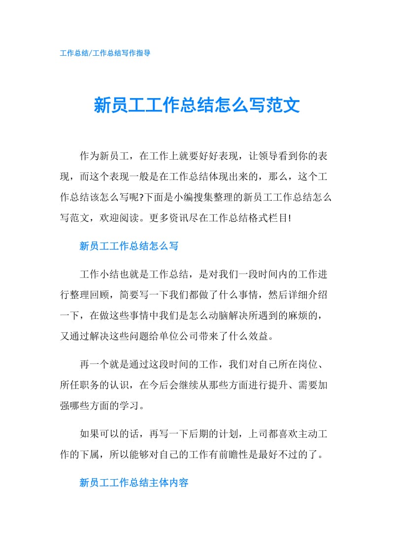 新员工工作总结怎么写范文.doc_第1页