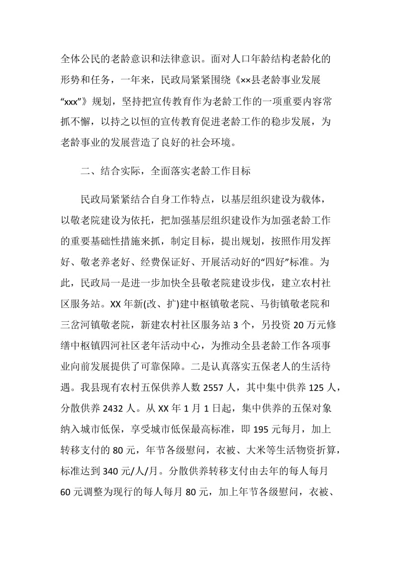 民政局20XX年老龄工作总结及20XX年老龄工作计划.doc_第2页