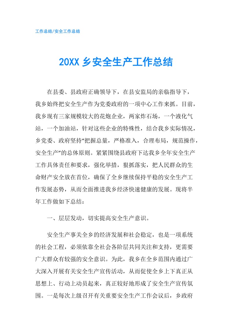 20XX乡安全生产工作总结.doc_第1页