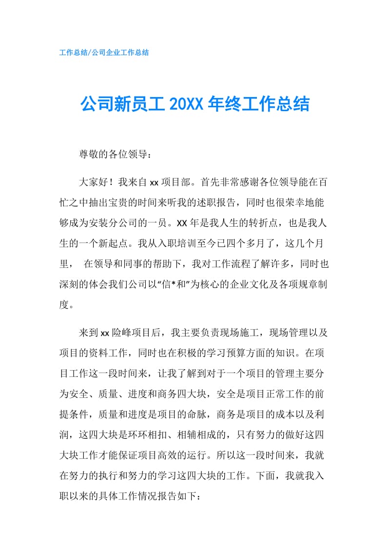 公司新员工20XX年终工作总结.doc_第1页