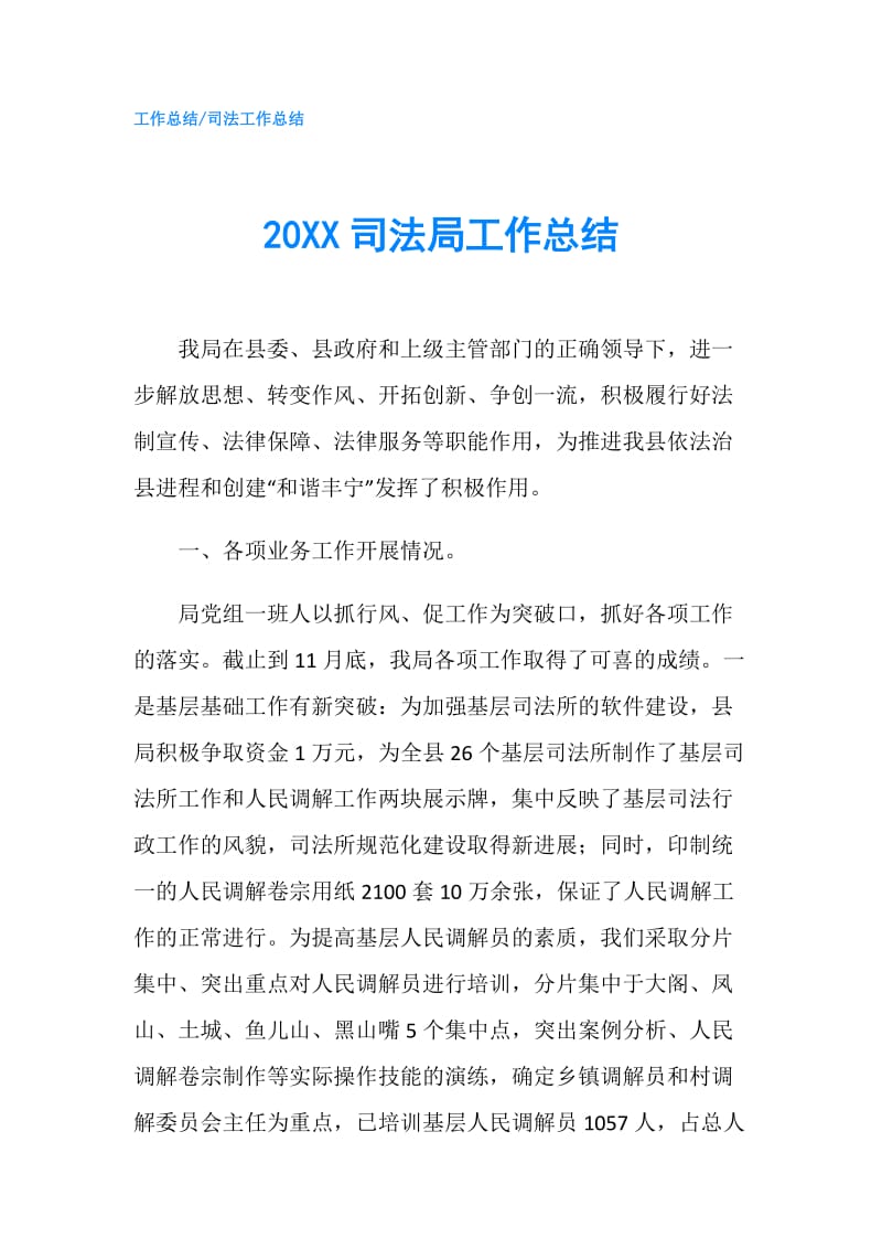 20XX司法局工作总结.doc_第1页