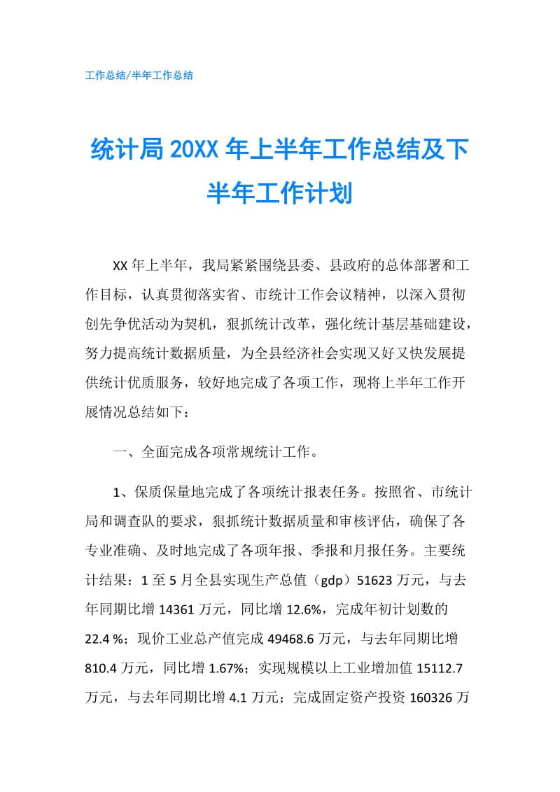 统计局20XX年上半年工作总结及下半年工作计划.doc_第1页