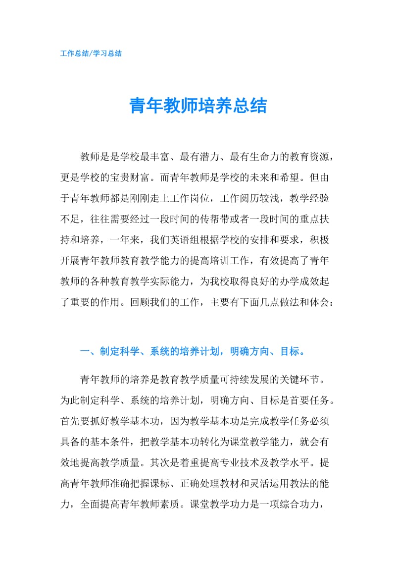 青年教师培养总结.doc_第1页