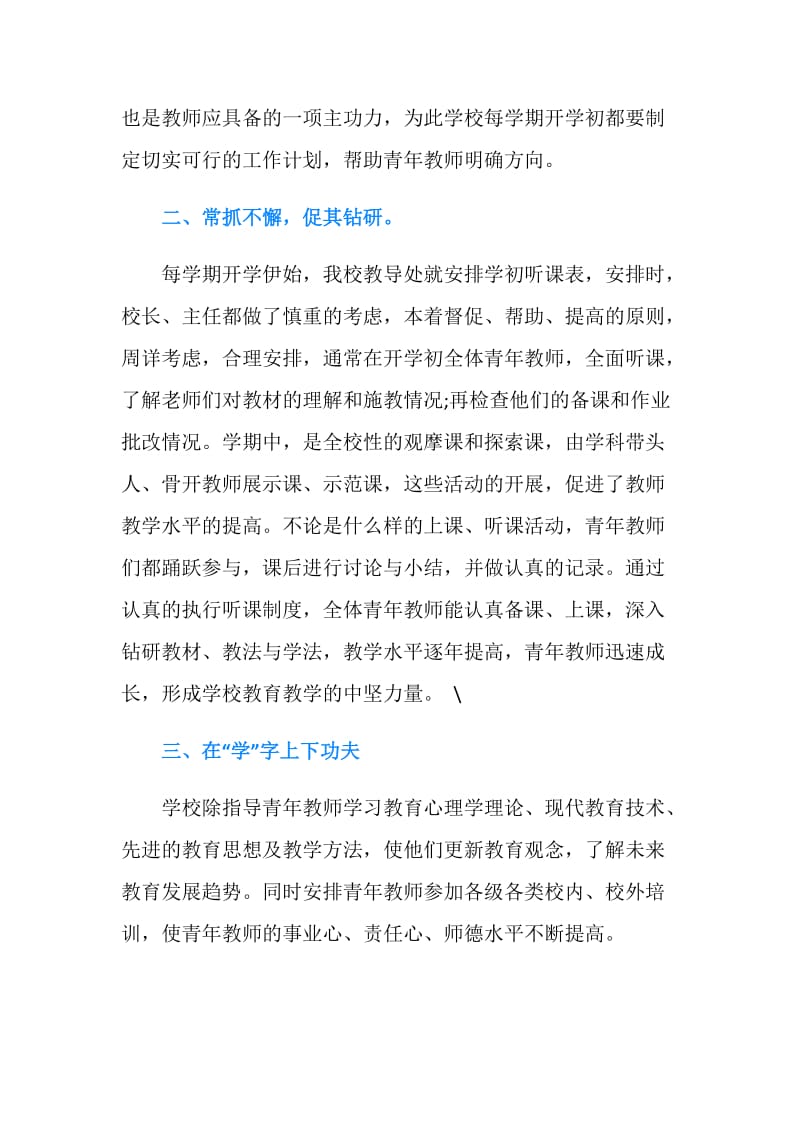 青年教师培养总结.doc_第2页