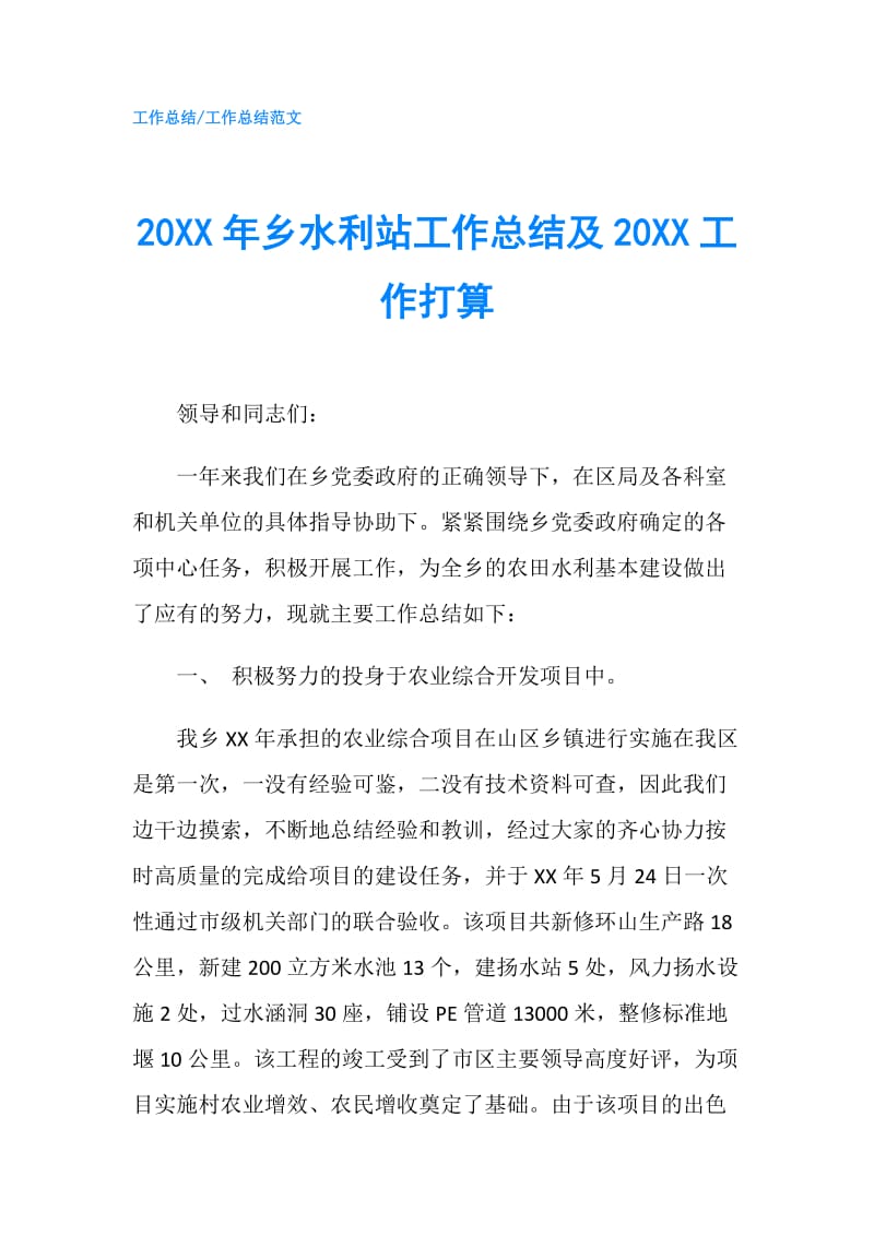 20XX年乡水利站工作总结及20XX工作打算.doc_第1页