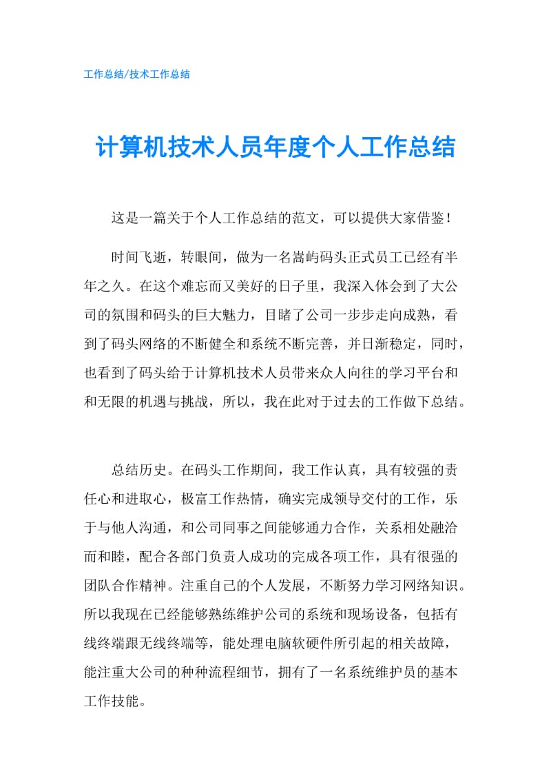 计算机技术人员年度个人工作总结.doc_第1页