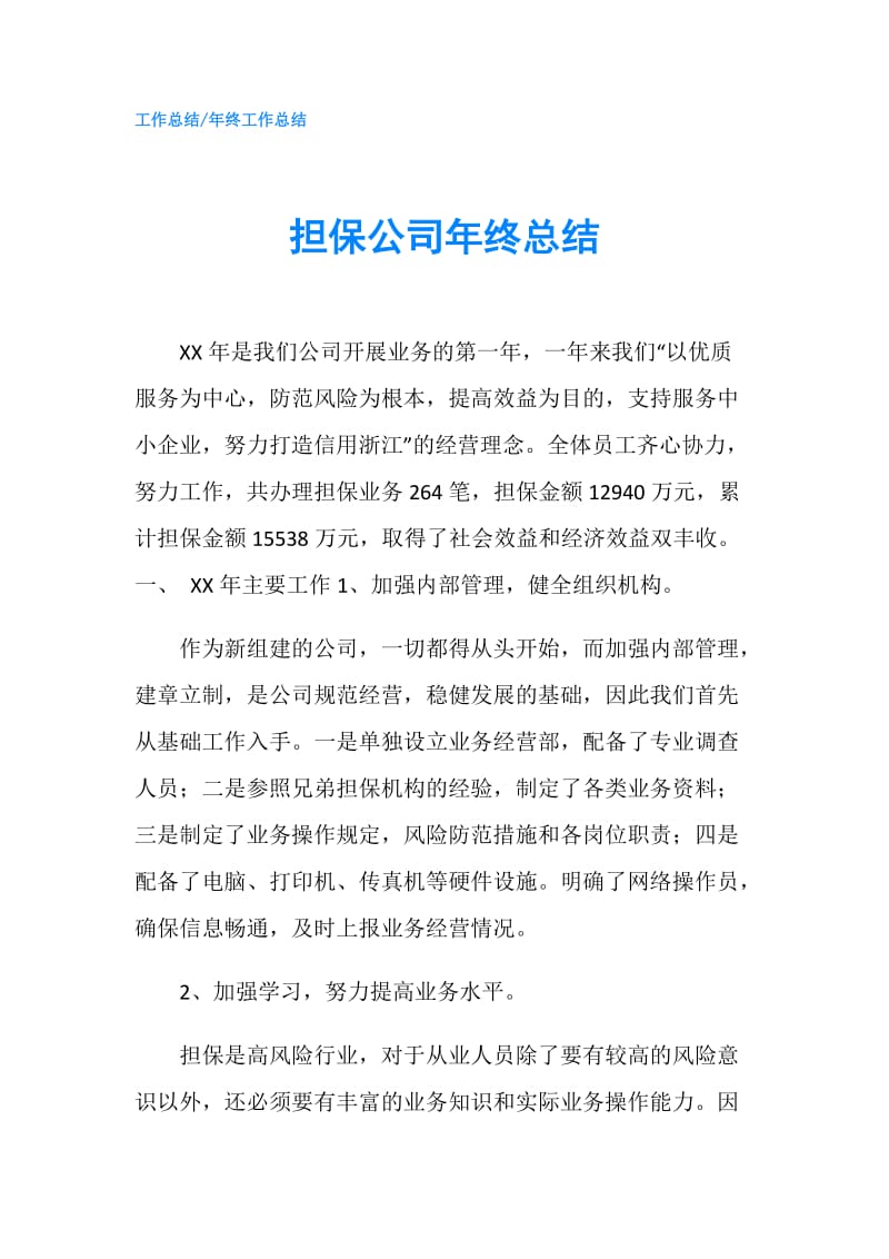 担保公司年终总结.doc_第1页