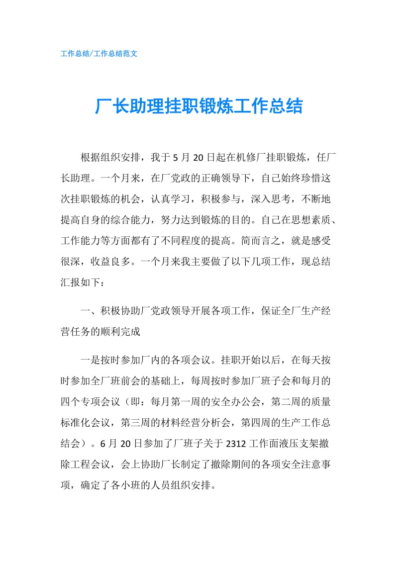 厂长助理挂职锻炼工作总结.doc_第1页