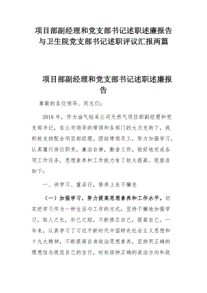 项目部副经理和党支部书记述职述廉报告与卫生院党支部书记述职评议汇报两篇.docx