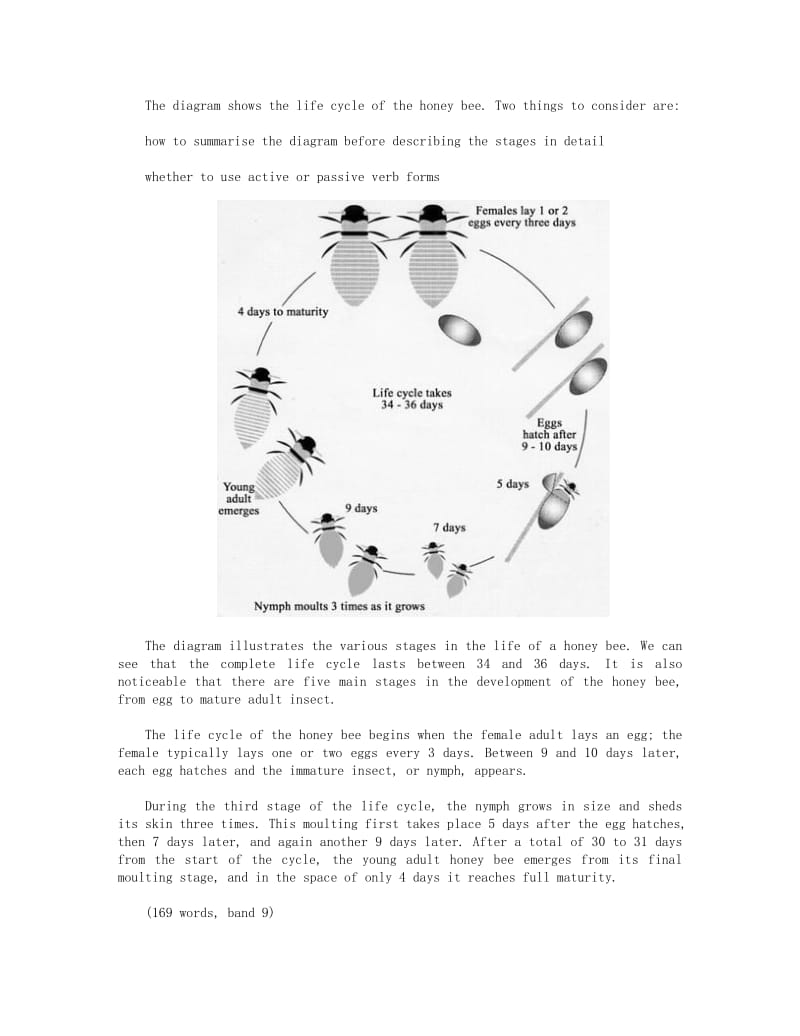 Simon雅思小作文真题范文 Task 1： life cycle essay.doc_第1页