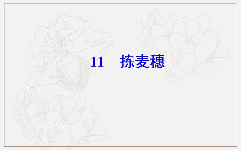 2019秋 金版学案 语文·必修1（粤教版）课件：第三单元11拣麦穗 .ppt_第2页