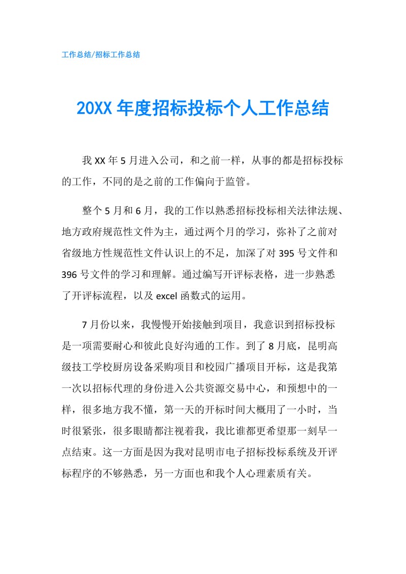 20XX年度招标投标个人工作总结.doc_第1页