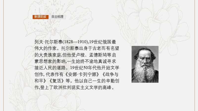 2019高中语文4.1娜塔莎课件新人教版选修外国小说欣.pptx_第3页