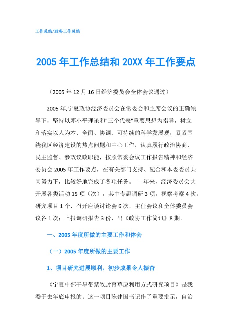 2005年工作总结和20XX年工作要点.doc_第1页