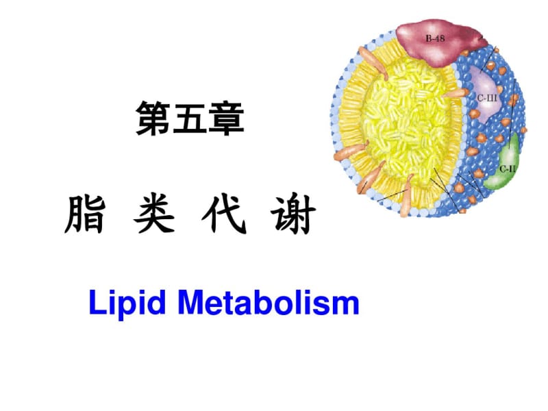 生物化学课件第5章脂类代谢(2017年讲义).pdf_第1页