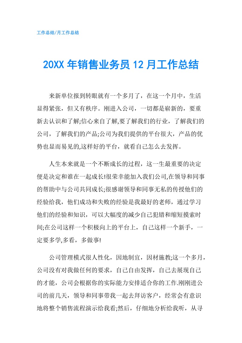 20XX年销售业务员12月工作总结.doc_第1页