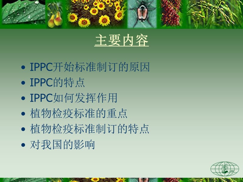 国际植物检疫标准制订.ppt_第2页