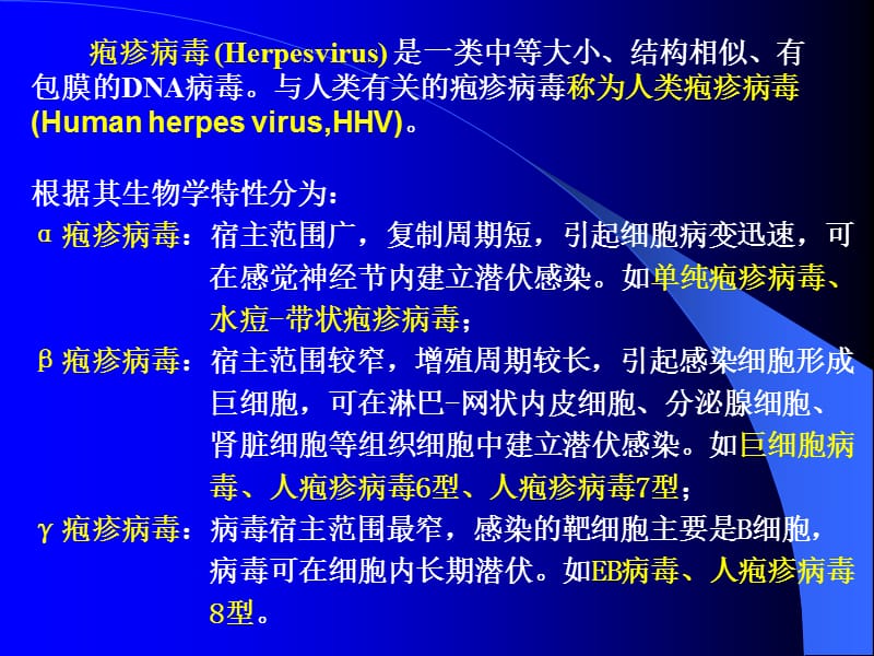 人类疱疹病毒.ppt_第2页