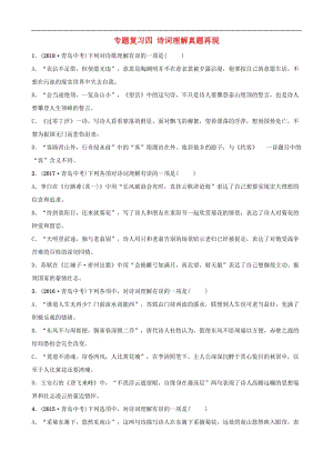 山东省临沂市2019年中考语文专题复习四诗词理解真题再现2.doc