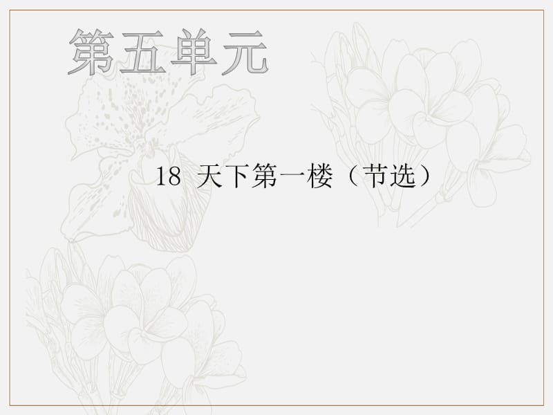 2018年九年级语文下册第五单元18天下第一楼节选习题课件新人教版.pptx_第1页