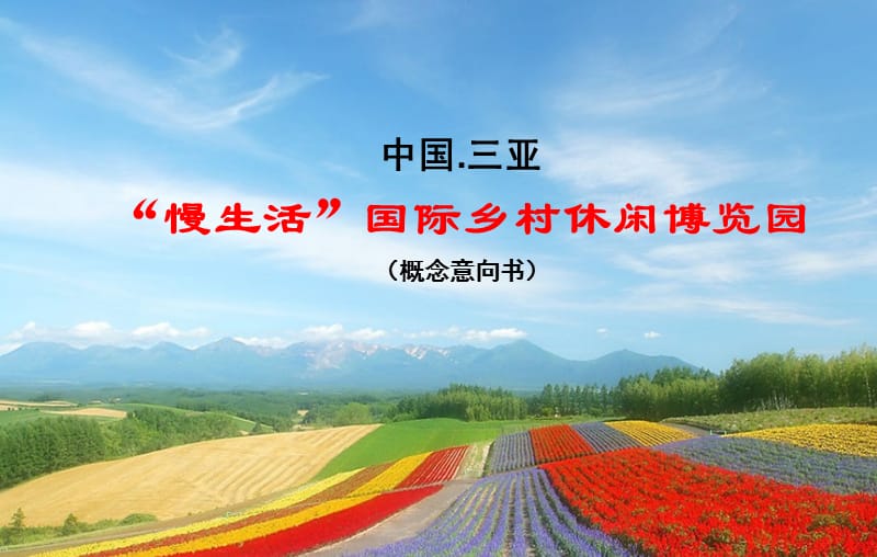 国际乡村休闲博览园意向书.ppt_第1页