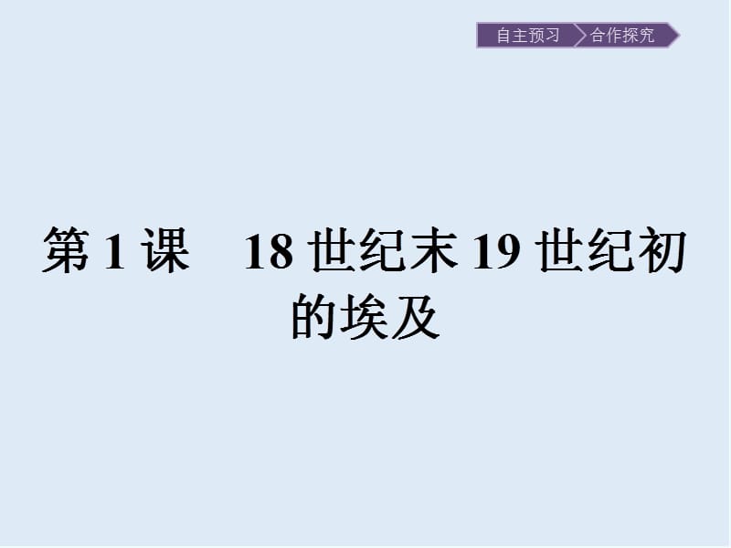 2020版历史人教版选修一课件：第六单元　第1课　18世纪末19世纪初的埃及 .pptx_第2页