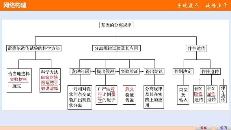 2019-2020版高中生物2.1基因的分离规律整合提升课件中图版必修2.pdf_第3页